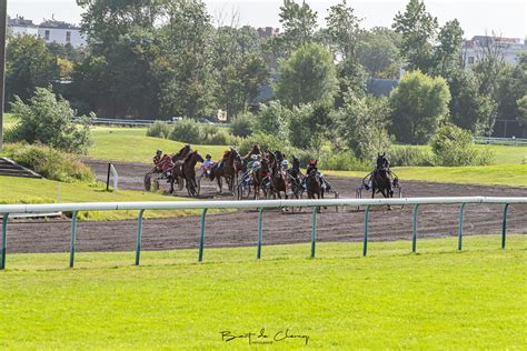 paardenrennen in finland|DE 10 BESTE Paardrijtochten in Finland .